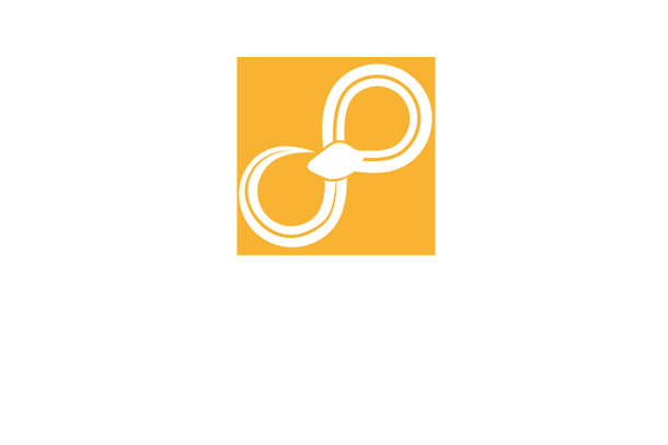 Sympathy For Data logo