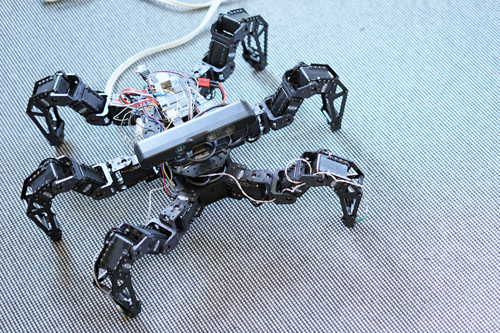 Master's Thesis walking spider